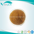 Organic Natural rhubarb extract powder